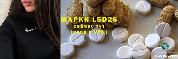 индика Алексеевка