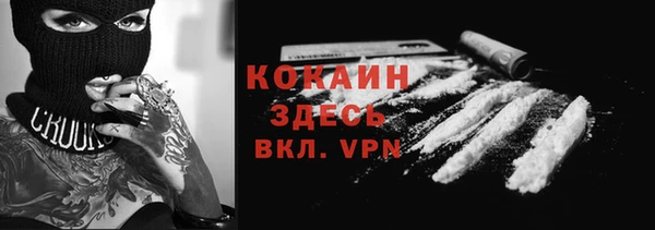 индика Алексеевка