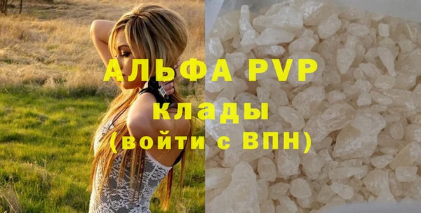 гидра Надым