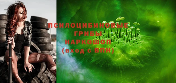 гидра Надым