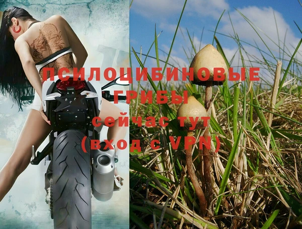 индика Алексеевка