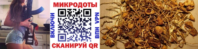 Галлюциногенные грибы Magic Shrooms  Владивосток 